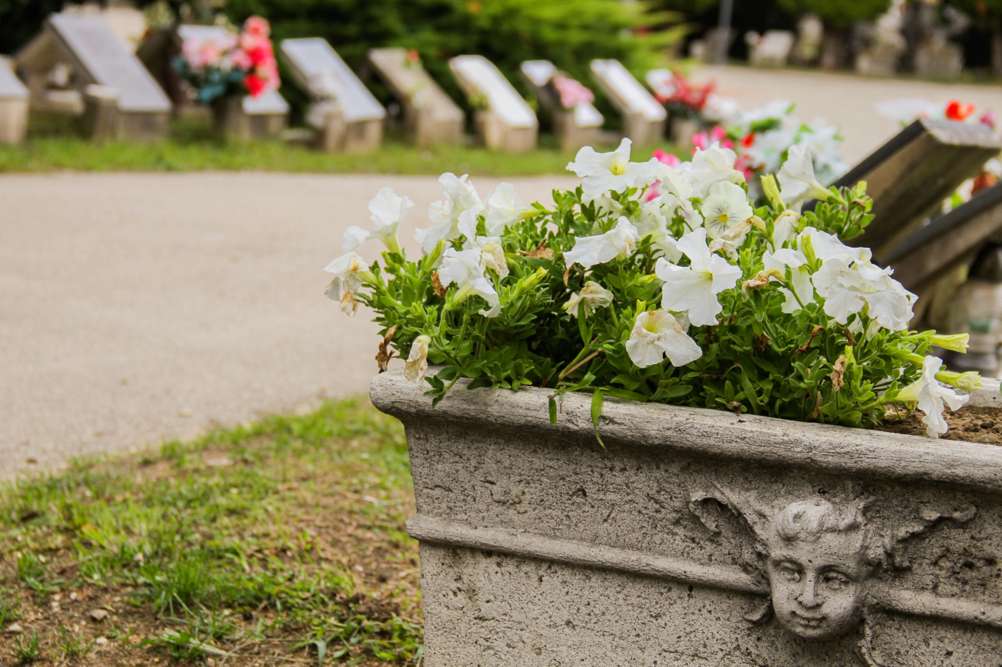 Ünnepi nyitvatartás a temetőkben