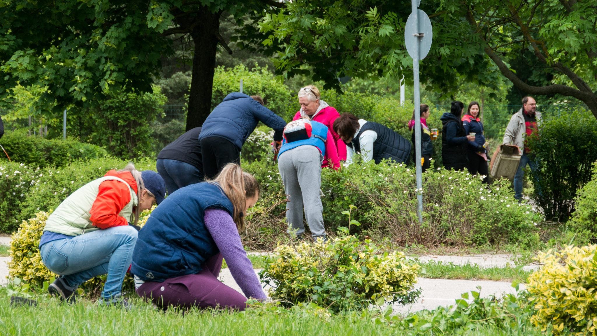 A T-Szol Zrt. munkavállalói megszépítették az újvárosi KRESZ Parkot